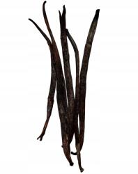 Royal Brand Kristályosított Vanília rúd 5 Db 16-22 cm Givre Vanília pálca