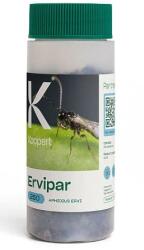 KOOPERT Ervipar - parazita darázs - Aphidius ervi Csomagolás: 500 darab