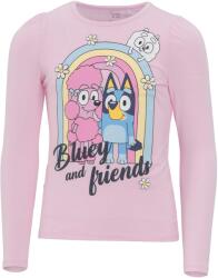 NAME IT Блуза nmfjessie bluey ls top box noos sky (520914923046)