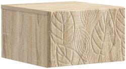 vidaXL Dulap de noapte suspendat Stejar Sonoma 49 x 34, 5 x 20 cm GartenMobel Dekor (898789)