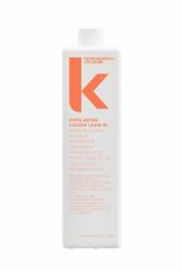KEVIN.MURPHY , Everlasting Colour, Hajatlan hajkezelő krém, Színvédelemért, 1000 ml