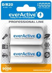  Akumulatorki everActive R20/D Ni-MH 10000 mAh připraven k použití