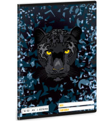 Ars Una Ars Una: Black Panther 2. osztályos vonalas füzet A/5 16-32 (53595294)