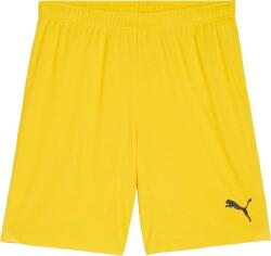 PUMA Teamgoal Shorts (70575207)