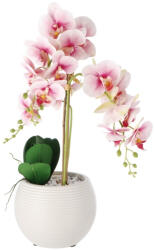 AdTrend Orhidee artificiala roz in ghiveci 21 x 60 cm (119404A)
