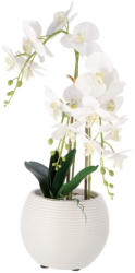 AdTrend Orhidee artificiala alba in ghiveci 21 x 60 cm (119404C)