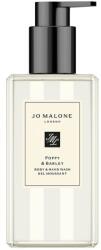  Bath & Body Poppy & Barley Hand Wash 250 ml