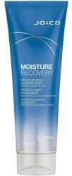 Joico Ingrijire Par Moisture Recovery Moisturizing Conditioner Balsam 250 ml