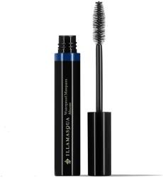 Illamasqua Machiaj Ochi Raven Mascara 10 ml