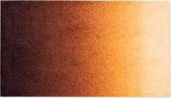 Heymat Covoraș de intrare Dis Rust 85 x 150 cm (51124) Pres