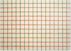Heymat Covoraș de intrare Grid Lime Candycane 60 x 85 cm (57550) Pres