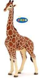 Papo girafă 50149 (50149) Figurina
