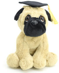  Mopsz așezat pentru absolvire 16cm (BI671586)