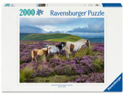 Ravensburger Puzzle 2000 buc - Cai sălbatici pe câmp (12001751) Puzzle