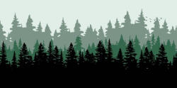 Gembird Forest Gaming Egérpad (MP-PL-FOREST-XL-01) - bbmarket
