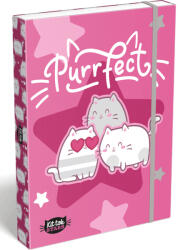 Lizzy Card Cicás füzetbox A/4, Lizzysuli, Kittok Stars Purrfect (LIZ-7470216002) - mesescuccok