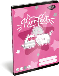 Lizzy Card Cicás tűzött füzet A/5, 32 lap vonalas 2. osztály (16-32), Lizzysuli, Kittok Stars Purrfect (LIZ-7500168002) - officetrade