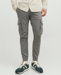 JACK & JONES Pantaloni bărbați Cargo Elastici Slim Fit Sedona Sage 12139912 (12139912)