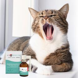  JM SANTE Vet Protector Oral cavity spray - liquid for the oral cavity for dogs and cats - 30 ml