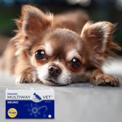  JM SANTE Multiway Vet Duocaps Neuro - twist-off capsules supporting the nervous system for dog and cat - 60pcs