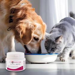  JM SANTE Vet Protector Gastro - Biotyk - multibiotic for dogs and cats - 60 g