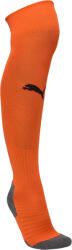 PUMA Team liga socks core 3