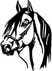 Wallity Fém fali dekoráció, horse, 40x55 cm