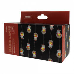 Ecolight Karácsonyi fényfüggöny 50LED 6500K 5V DC IP65 5m Ecolight (ECOCHO0046)