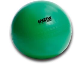 SPARTAN gimnasztik labda 65cm (58)