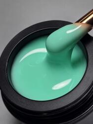 Everin Gel Autonivelant Everin Candy Ombre 15gr- 02 - Gel Mint Aqua pentru Unghii (CO-02)