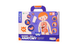mierEdu Joc magnetic educativ - Anatomia Umana (ME0511)