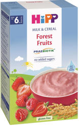 Hipp Cereale Hipp cu lapte fructe de padure de la 6 luni 250 g (AL3221-01-U)