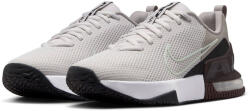 Nike Air Max Alpha Trainer 6 (fq1833-008)