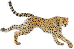 Papo Figurina Papo Wild Animal Kingdom - Ghepardul care alearga (50238) Figurina
