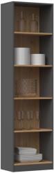 Topeshop R50 ANT/ART office bookcase Raft