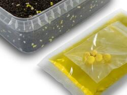 DELPHIN Reaxe READY& GO Pellet box + Booster + Wafters Kukorica-Ananász