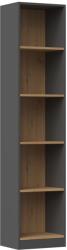 Topeshop R40 ANT/ART office bookcase Raft