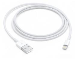 Apple Lightning to USB Cable (1В m)