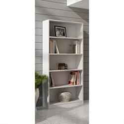Topeshop R80 BIEL office bookcase Raft