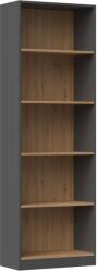 Topeshop R60 ANT/ART office bookcase Raft