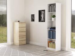 Topeshop R50 BIEL office bookcase Raft