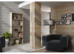 Topeshop R60 SONOMA office bookcase Raft