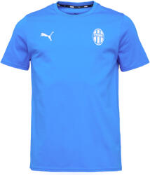 PUMA Teamgoal 23 Casuals Tee (65861502-fkmb)