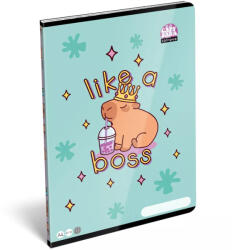 ICO ICO: LizzySuli Lollipop Capybara mintás kockás füzet A/4 27-32 (7500165000-582649)