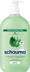 Schauma 7 Herbs Freshness hajápoló sampon, 750 ml (9000101681123)