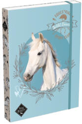 LIZZY Füzetbox LIZZYSULI A/4 Wild Beauty Sport Club (7470216004) - mystock