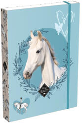LIZZY Füzetbox LIZZYSULI A/5 Wild Beauty Sport Club (7470217004) - mystock