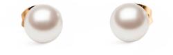 Daniel Wellington Dw00401956