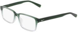 Nike 1001C 313 (1001C 313)