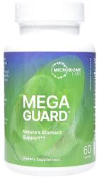 Microbiome Labs MegaGuard Артишок + Женско биле + Джинджифил, 60 капсули, Microbiome Labs (532366 (6935296) MRBLS)